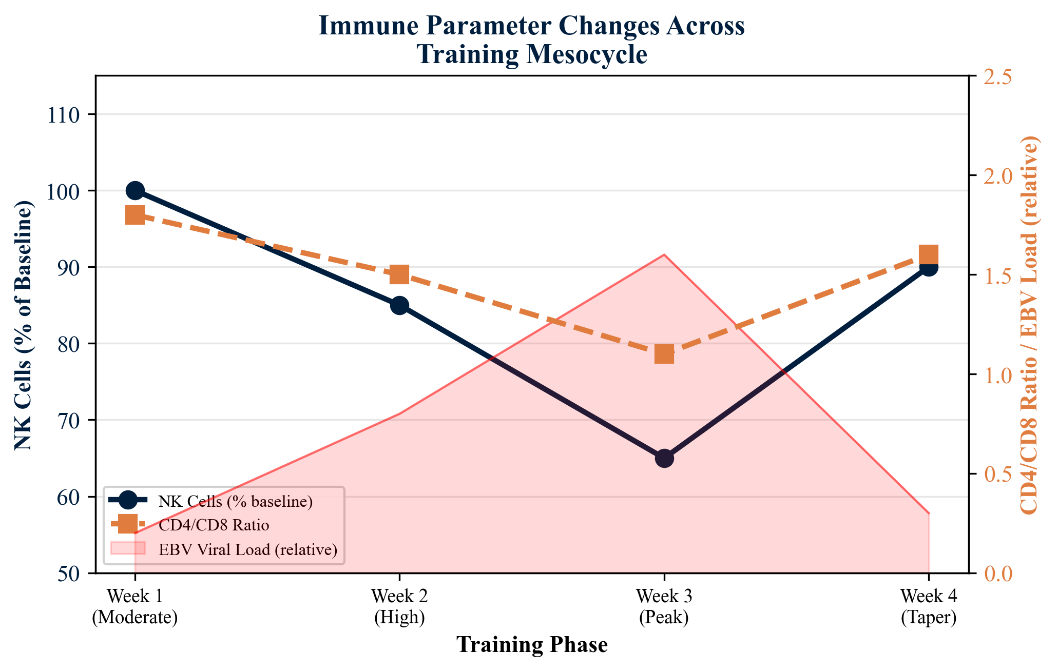 Figure 4. Immune Parameter Changes Across a Four-Week Training Mesocycle in National-Team Rowers. NK cell counts decline progressively during high-volume training (Weeks 2-3) and recover during the taper (Week 4). CD4/CD8 ratio inversion parallels viral reactivation patterns. Shaded area represents relative EBV viral load.